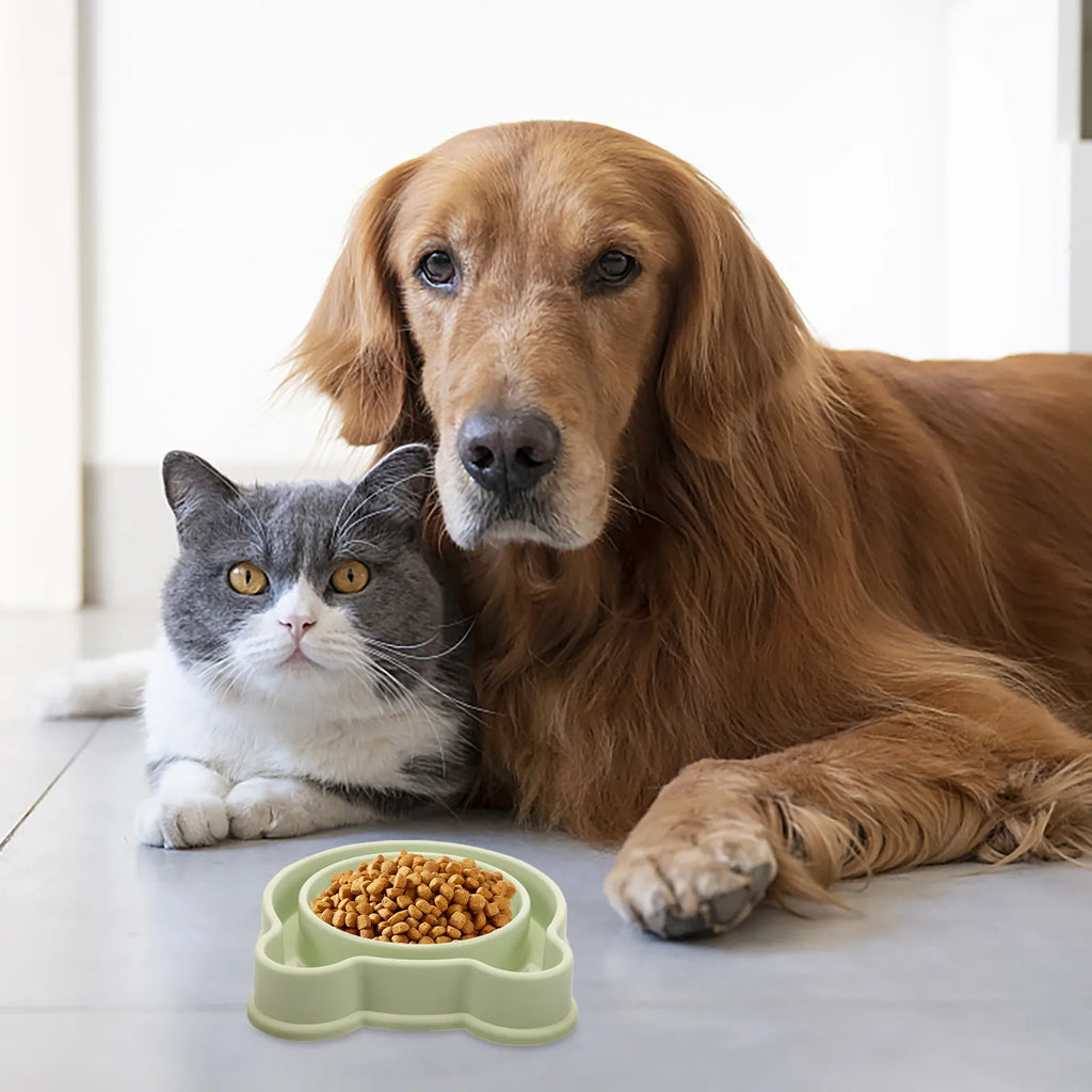 Dog Slow Feeder Bowl Pet Eating Reusable PP Material Sturdy Design