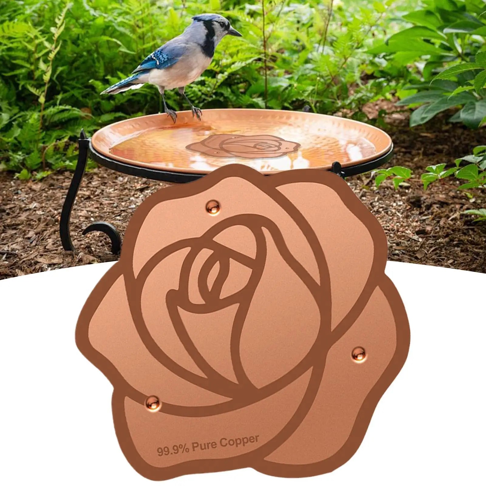 Copper Bird Bath Plate Birdbath Purification Disc with Triple-Point Support Birdbath Bowl Purifier Plate for Backyard Bird Bath Zpaxo