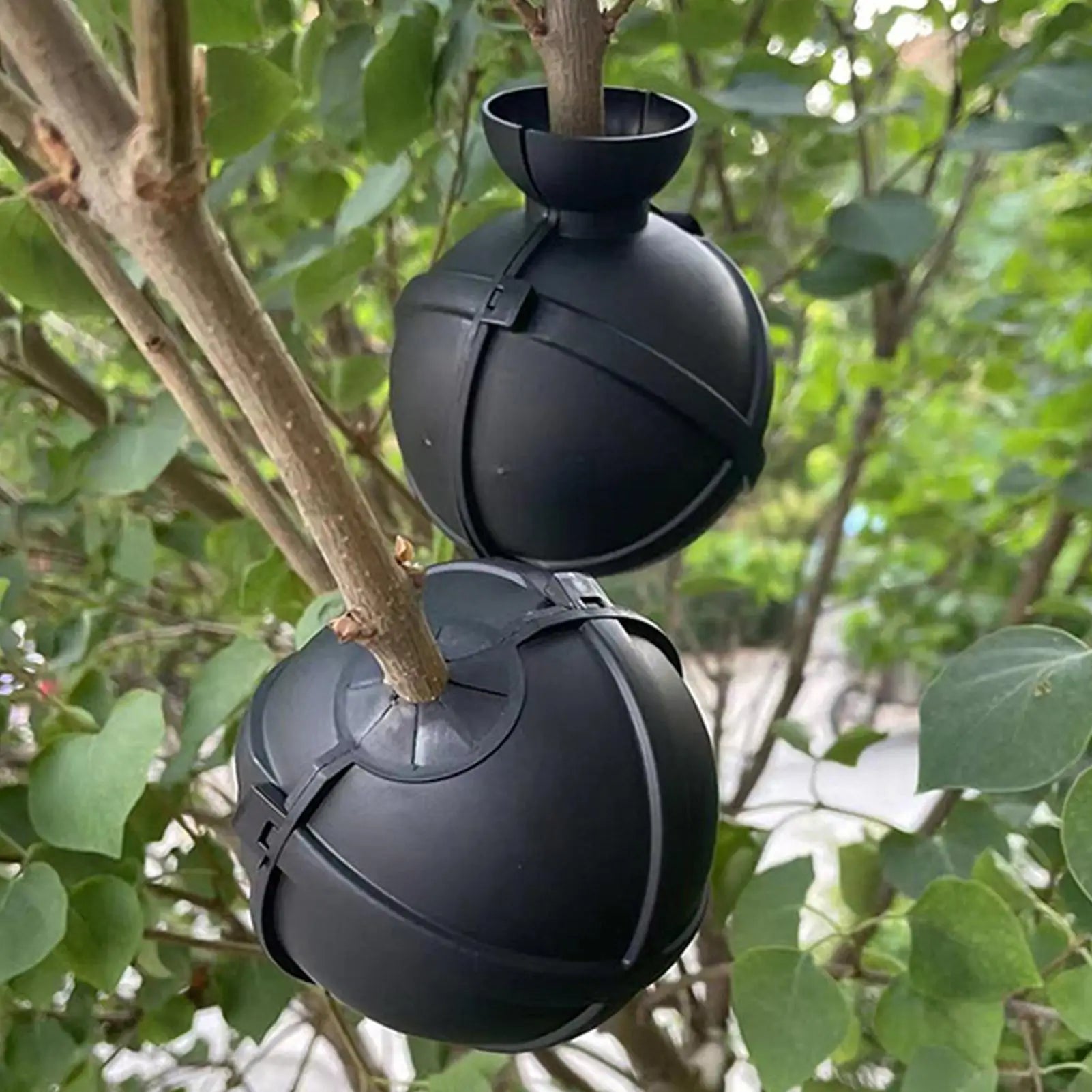 1Pcs Plant Rooting Ball High Pressure Grafting Box Propagation Breeding Rooting Case Nursery Box Garden Plant propagation ball Zpaxo Default Title