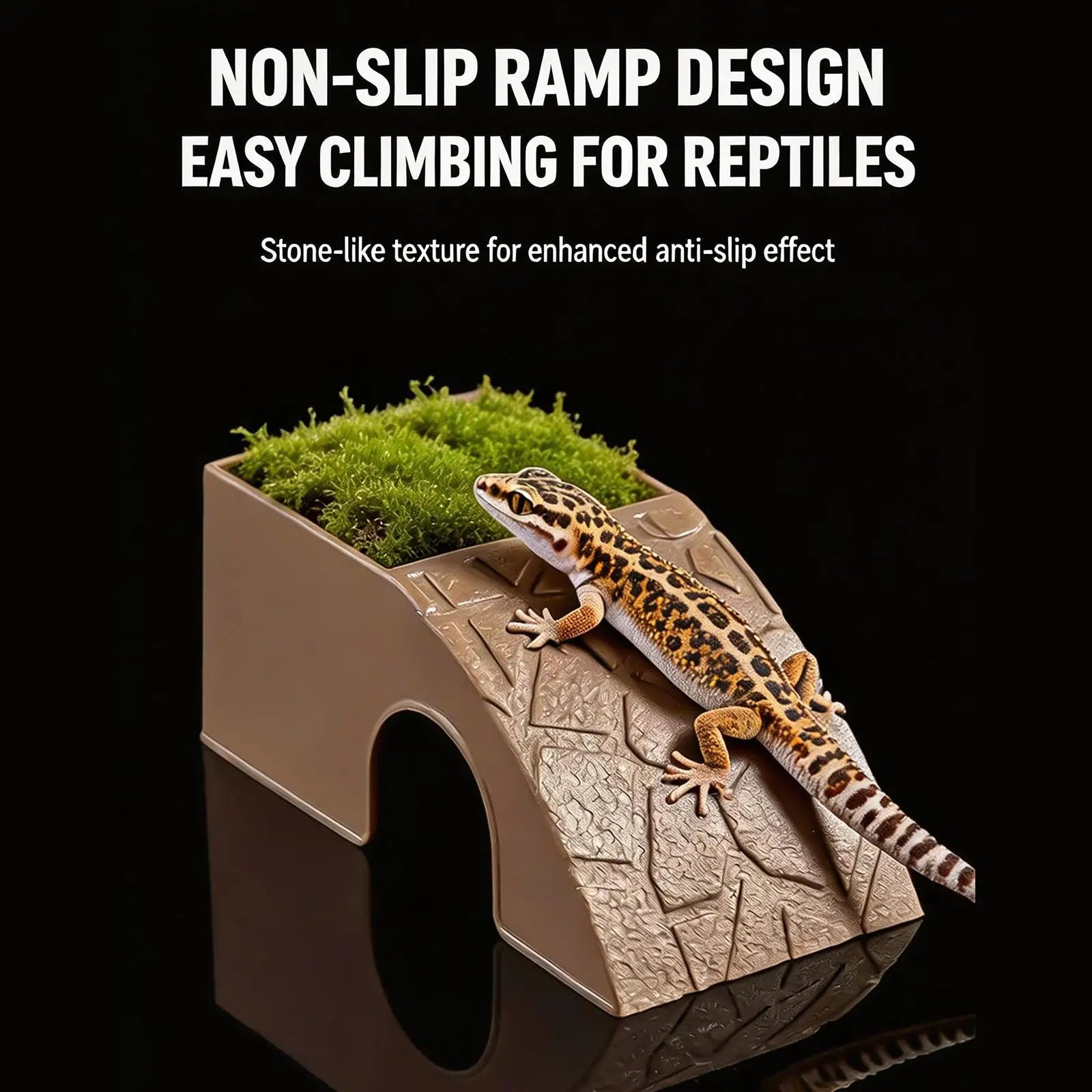 Reptile Food Dish 1 Decorative Shelter Water Bowl Ornament Bearded