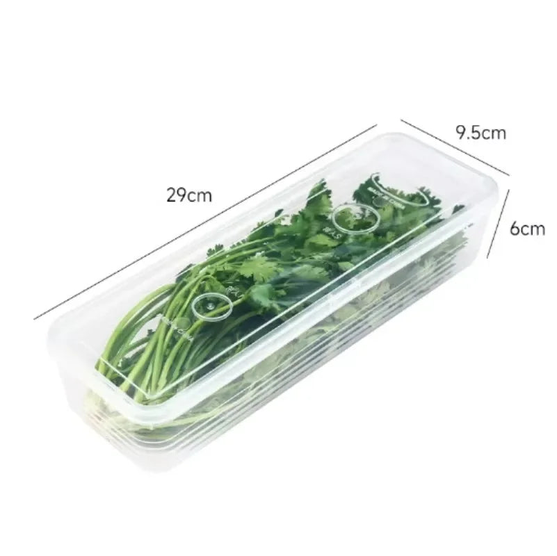 Fresh Box Fridge Herb & Scallion Storage Container with Lid