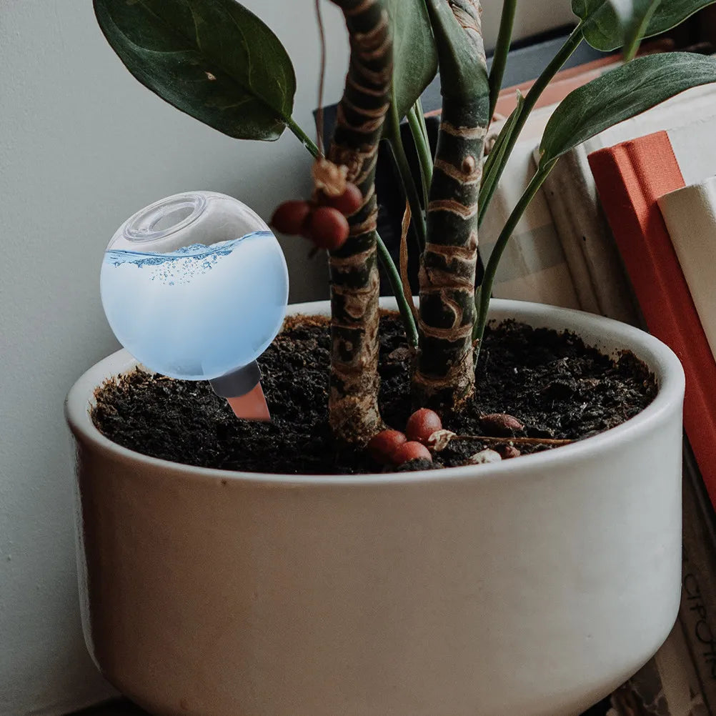 2Pcs Self Globes Automatic Plant Waterer for Succulents Indoor Outdoor Plant Irrigation System Globe Zpaxo Default Title
