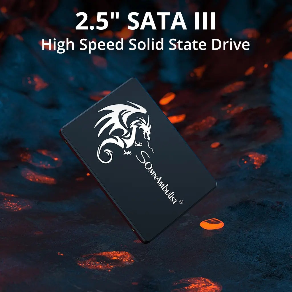 Somnambulist SSD 120GB 240GB 480GB 960GB Internal Sata3 Solid State Zpaxo