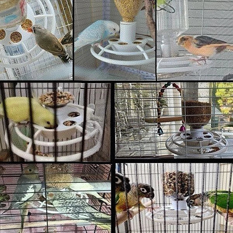Automatic Bird Feeder Anti-scatter Parrot Food Dispenser Cage Hanging