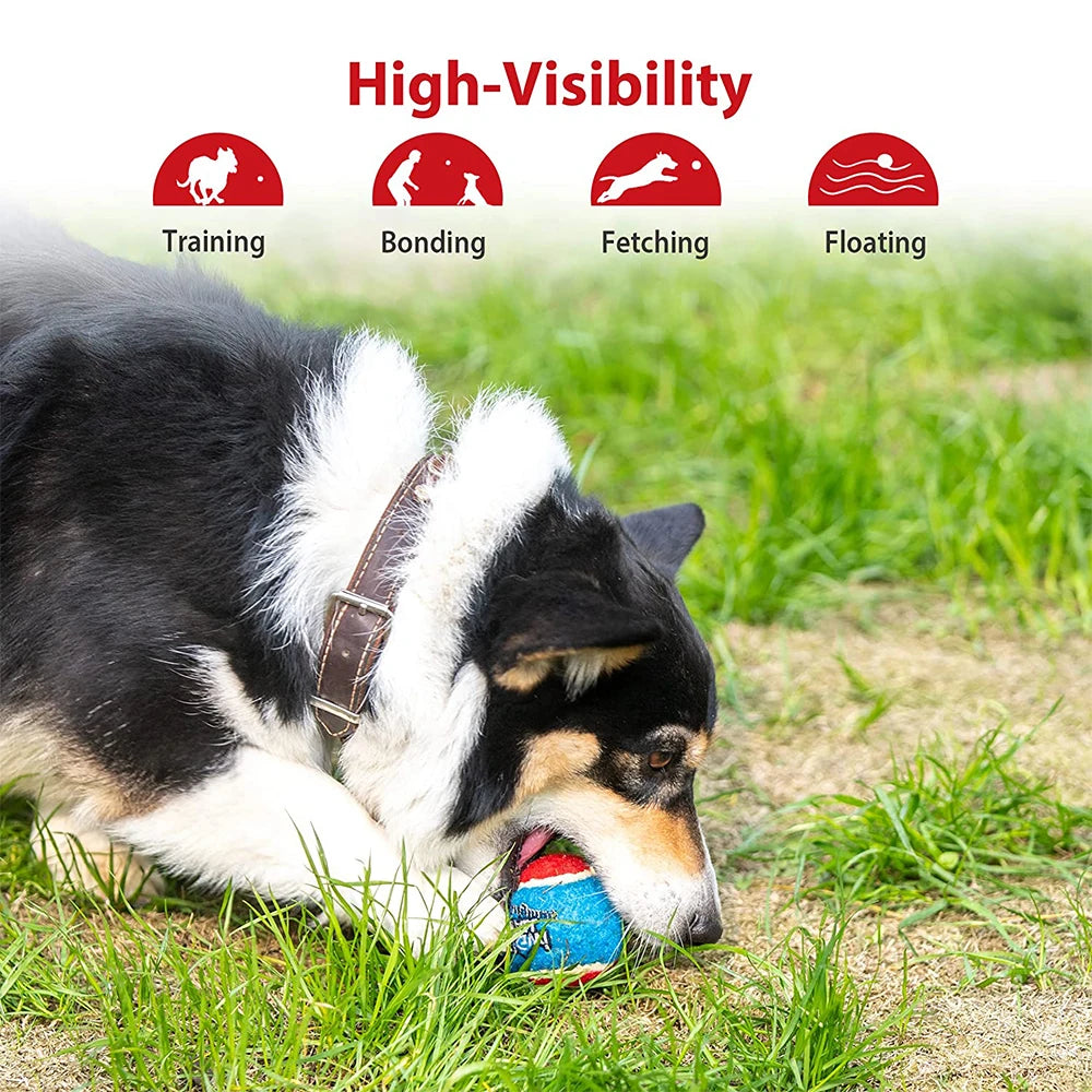 Pet Dog Squeaky Tennis Ball Interactive Toys Bounce Sound Rubber Dogs Zpaxo