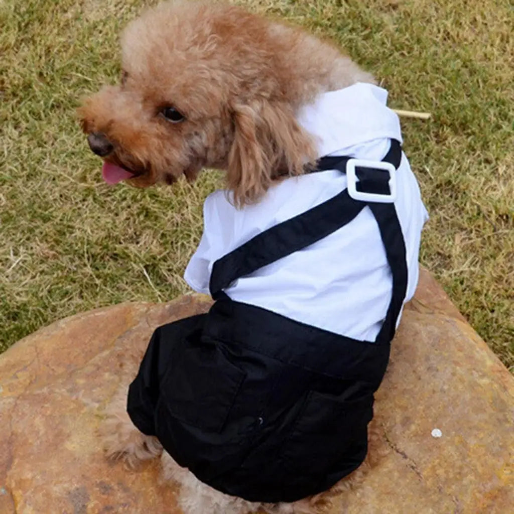 Dog Costumes Shirt Suit Tuxedo Wedding Party Clothes Bow Tie Pet Coat Zpaxo