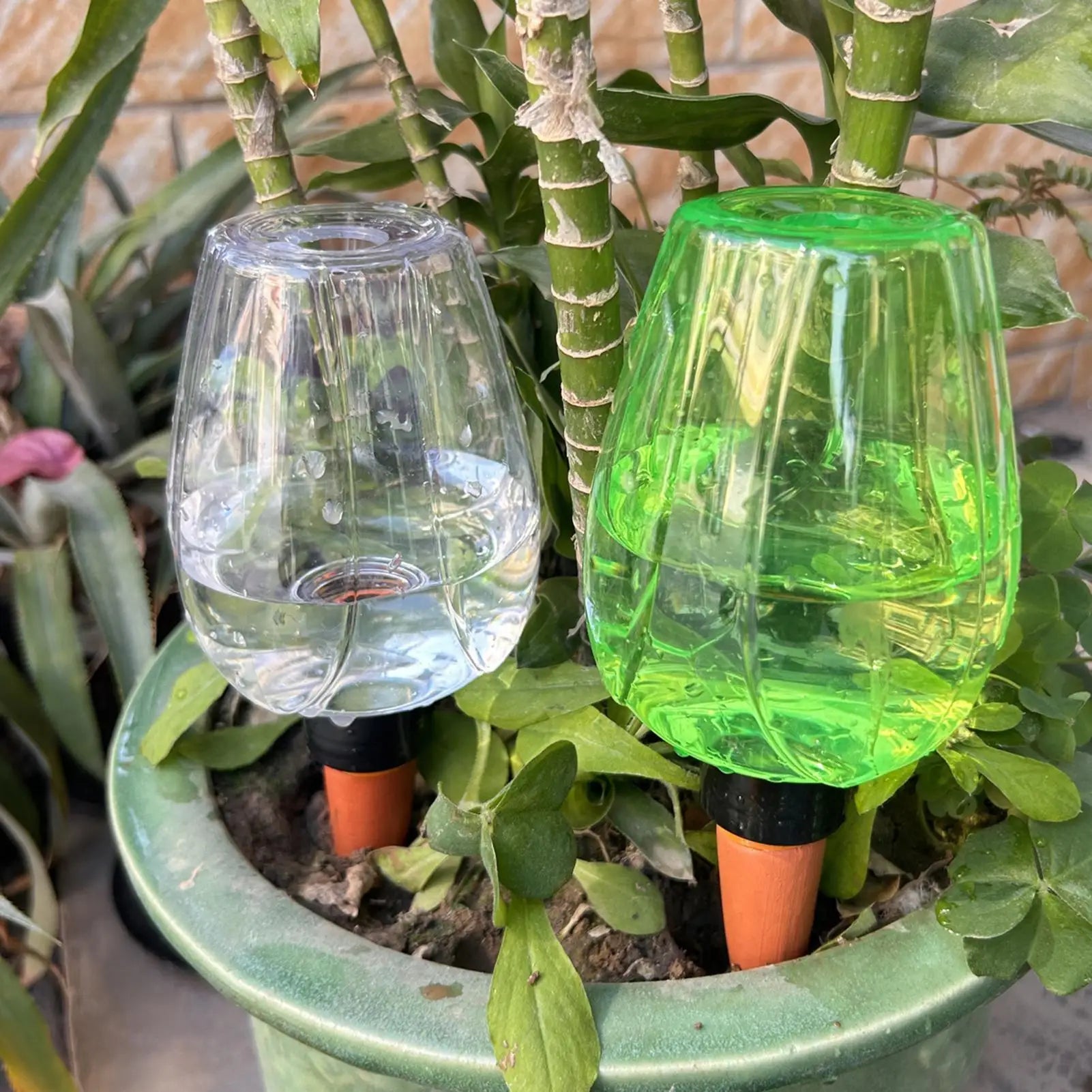 350ml Self-Watering Globe | Automatic Plant Drip Irrigation Plant Watering Globe Zpaxo