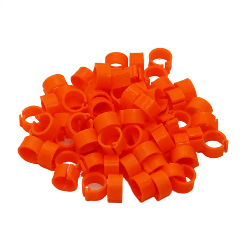 Birds Feet Rings Inner Diameter Width Plastic Clip Ring Pigeon Dove Zpaxo Orange