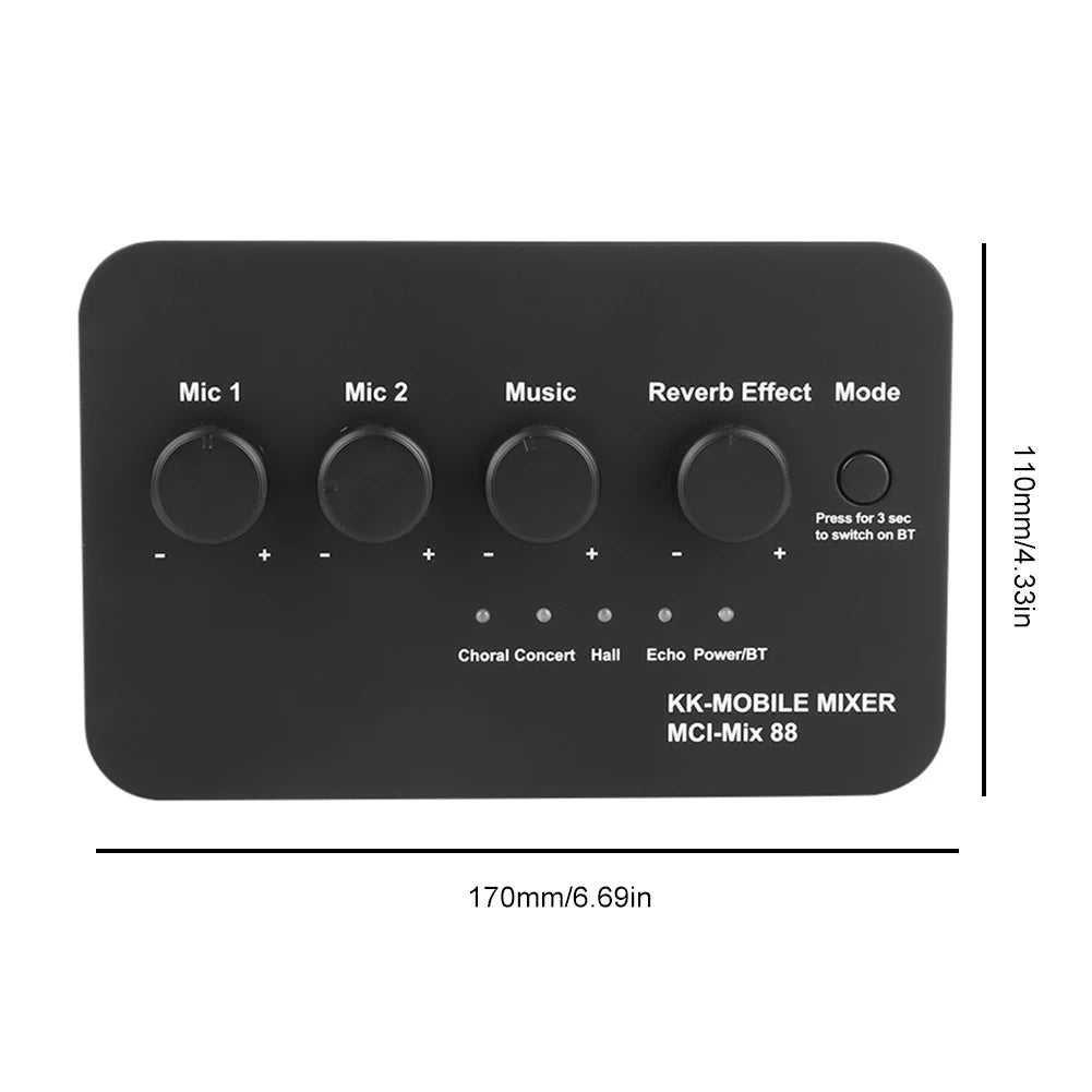 Portable Karaoke Microphone Mixer AUX IN/OUT BT Connection Dual Mic Inputs Digital Audio Mixer for DJ Sound Home Party & Theater Zpaxo