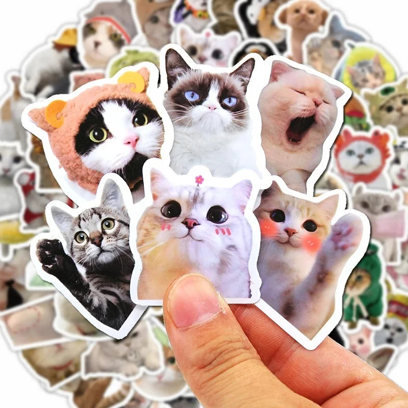 10 50 Waterproof PVC Decoration DIY Scrapbooking School Supplies