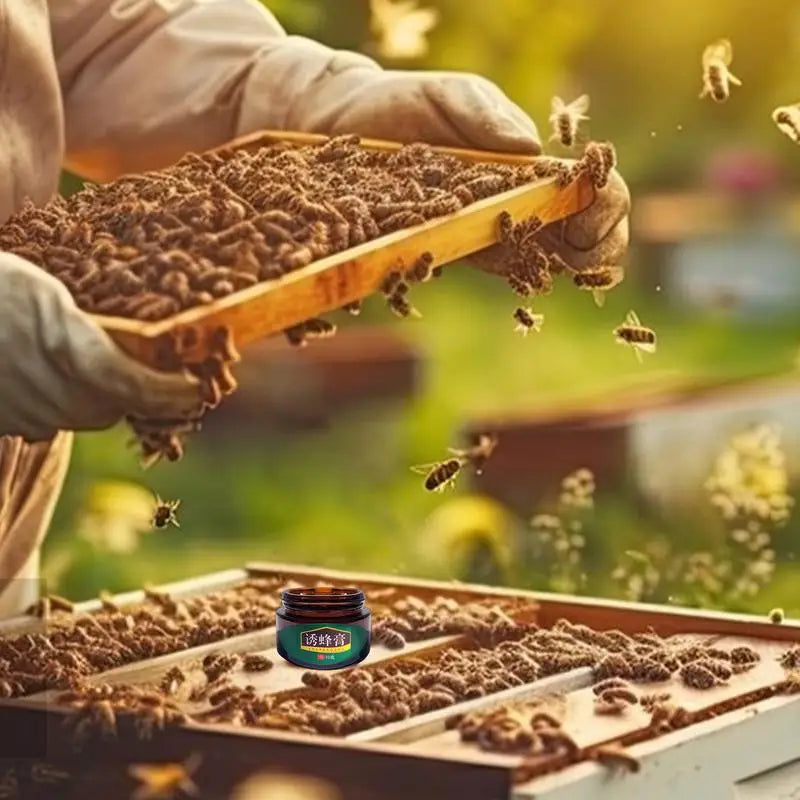 Bee Attractant Balm Lures Outdoor Wild Bees Catcher Easy Attract
