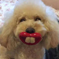 Silicone for Dogs Funny Dog Red Lips Silicone Chew Toy Soft Health Care Teething Pet Teether for Small Zpaxo Default Title
