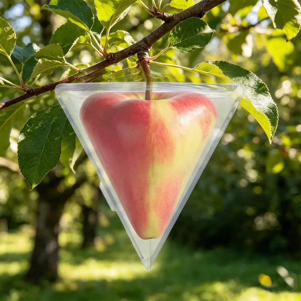 Transparent Fruit Vegetable Growing Molds Reusable Triangle Cube