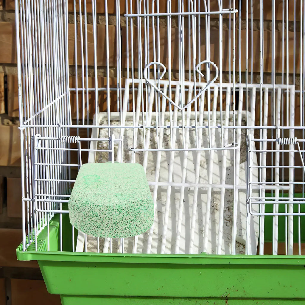Multifunctional Parrot Grinding Stone Perch Platform Jumping Board