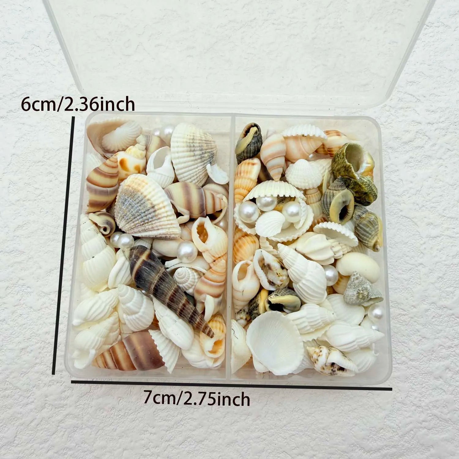 Natural Mixed Sea Shells & Pearl Charms – DIY Craft & Decor Shell Craft Charms Zpaxo style 1