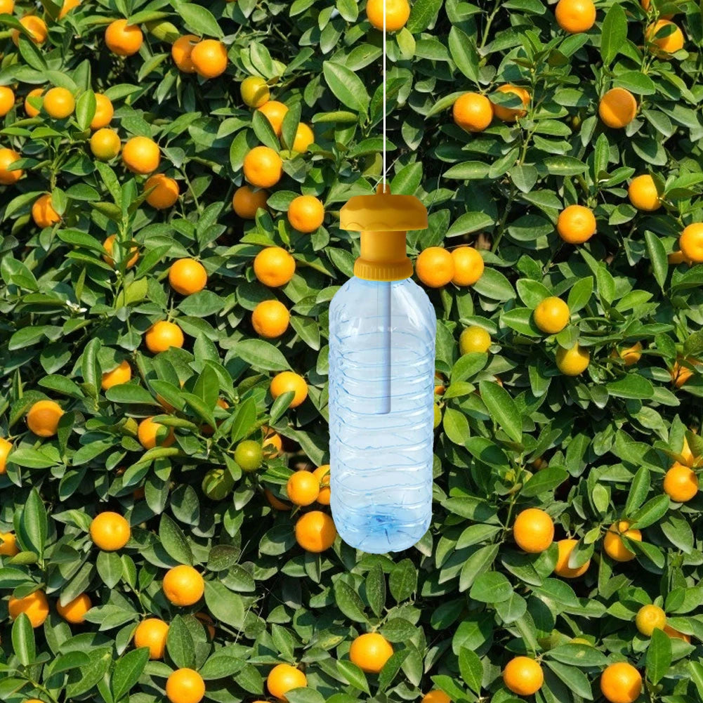 1-50Pcs Fruit Plastic Drosophila Catcher Pest Insect Control Fly Trap Killer Cover For Home Farm Orchard Pest Control Tools Zpaxo