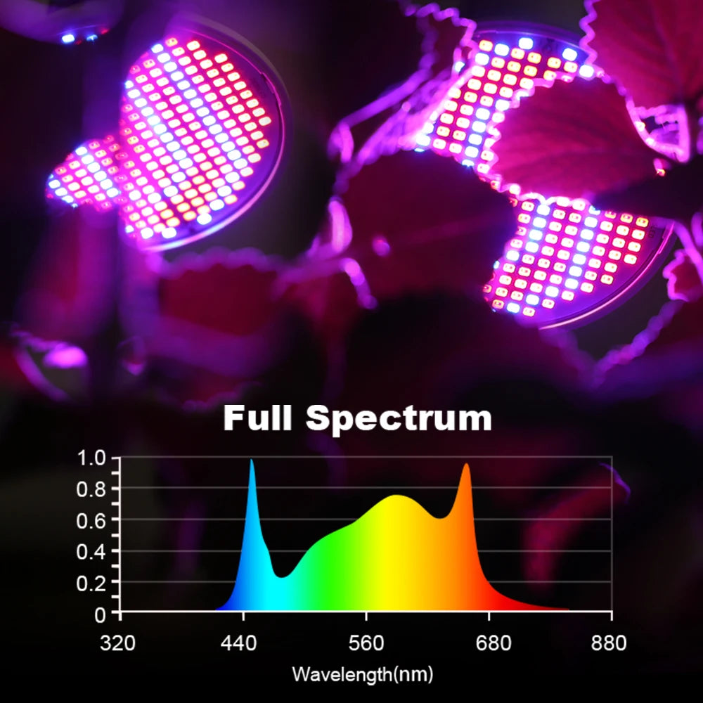 E27 LED Grow Light Bulb Full Spectrum AC85-265V Plant Lamp for Indoor Plants Hydroponics Flower Seedling Zpaxo