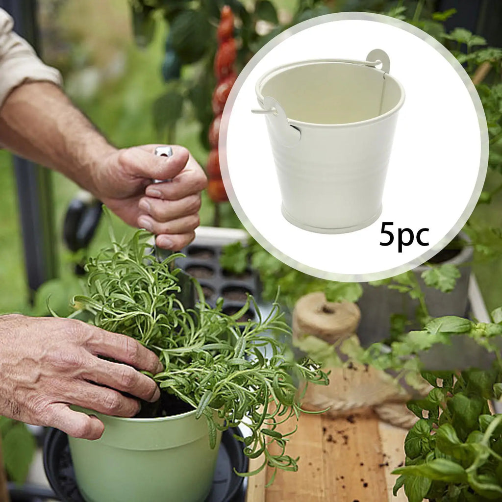 Small Metal Buckets Flower Organizing Container Handle Vases Zpaxo