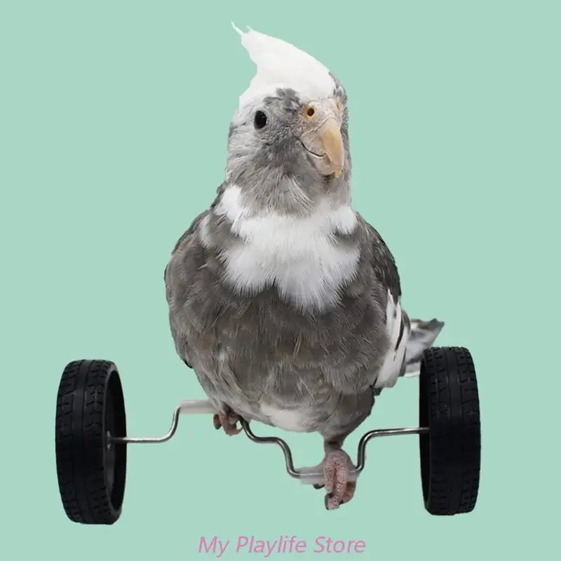 Parrot Training Balancing Bike Toy Interactive Row Roller Bird Cage Toy Cockatiels Training Birds Cage Sports Supplies Zpaxo