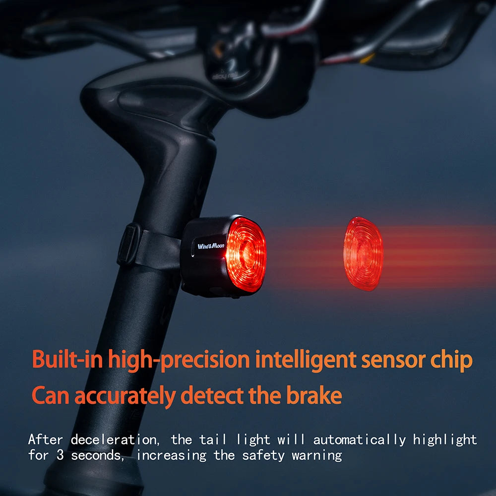 Bicycle Intelligent Brake Tail Light IP66 Waterproof 6 Light Modes High Brightness Bike Rear Lamp for Seat Post/Saddle/ Bag Zpaxo