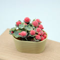 ▶1:12 Dollhouse Simulation Flower Plant Potted Dollhouse Mini Home Decoration Dolls House Micro Landscape Plant Accessories Zpaxo Red