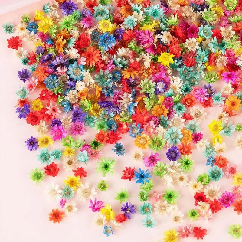 1 BOX Tiny Mini Dried Flowers Colorful Small Dried Gypsophila Flowers for Candle, Soap, Resin, Craft Makings Zpaxo