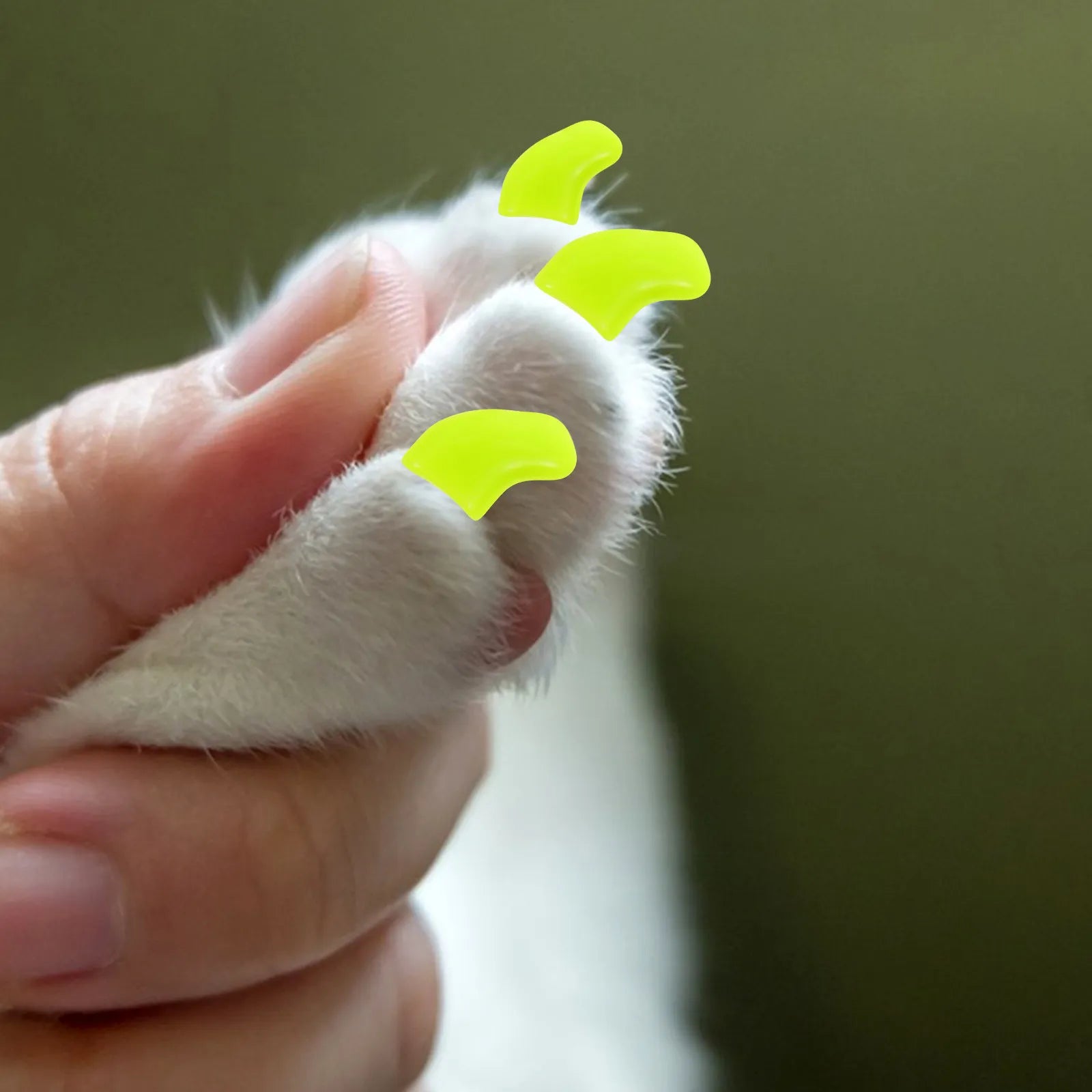 Comfortable Cat Claw Caps Tpr Material Nail Protectors Indoor