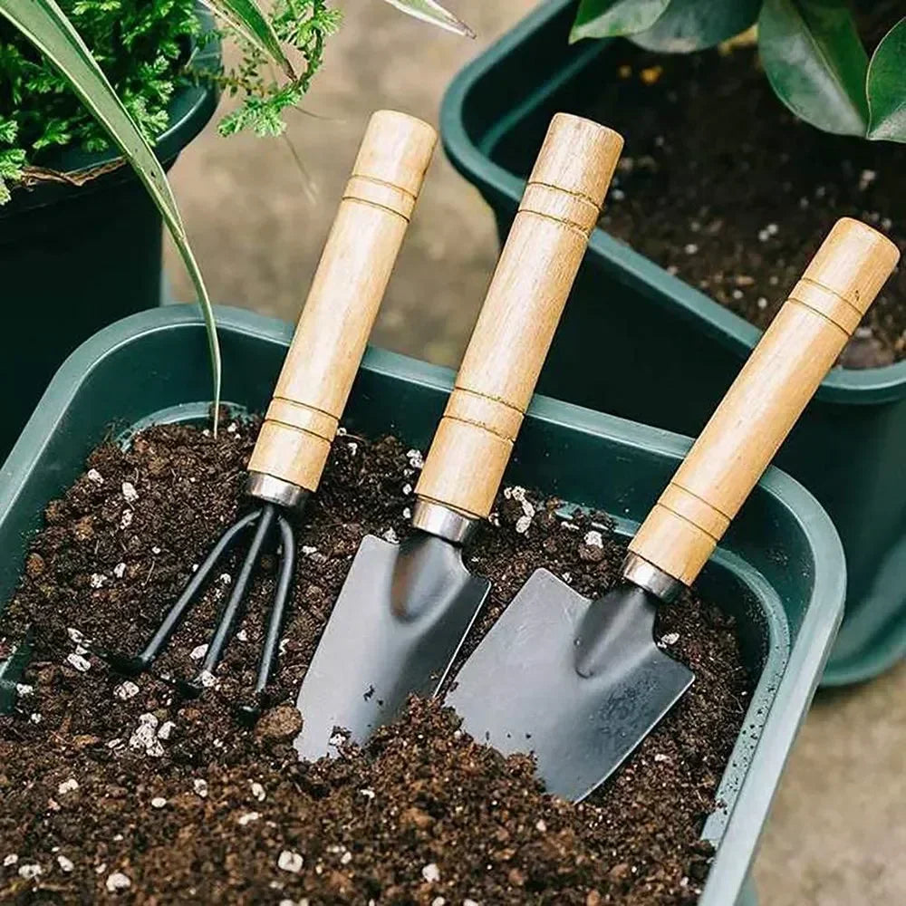 3-Piece Mini Garden Tool Set – Stainless Steel Indoor Kit