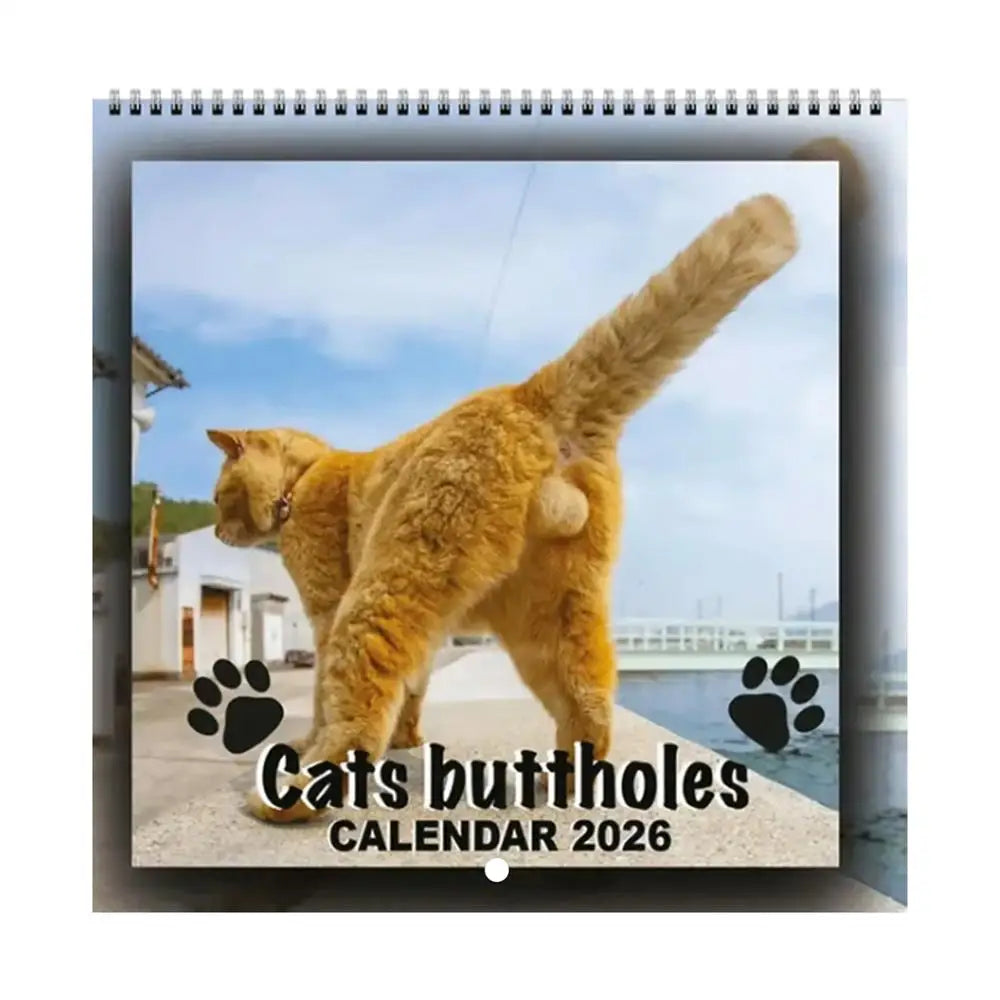 2026 Funny Cat Calendar 12 Month Wall Hanging Memes Humor Monthly