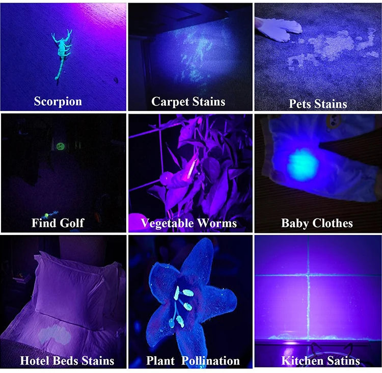 POCKETMAN 395nm UV Flashlight – 21/51/100 LED Black Light UV Flashlight Zpaxo