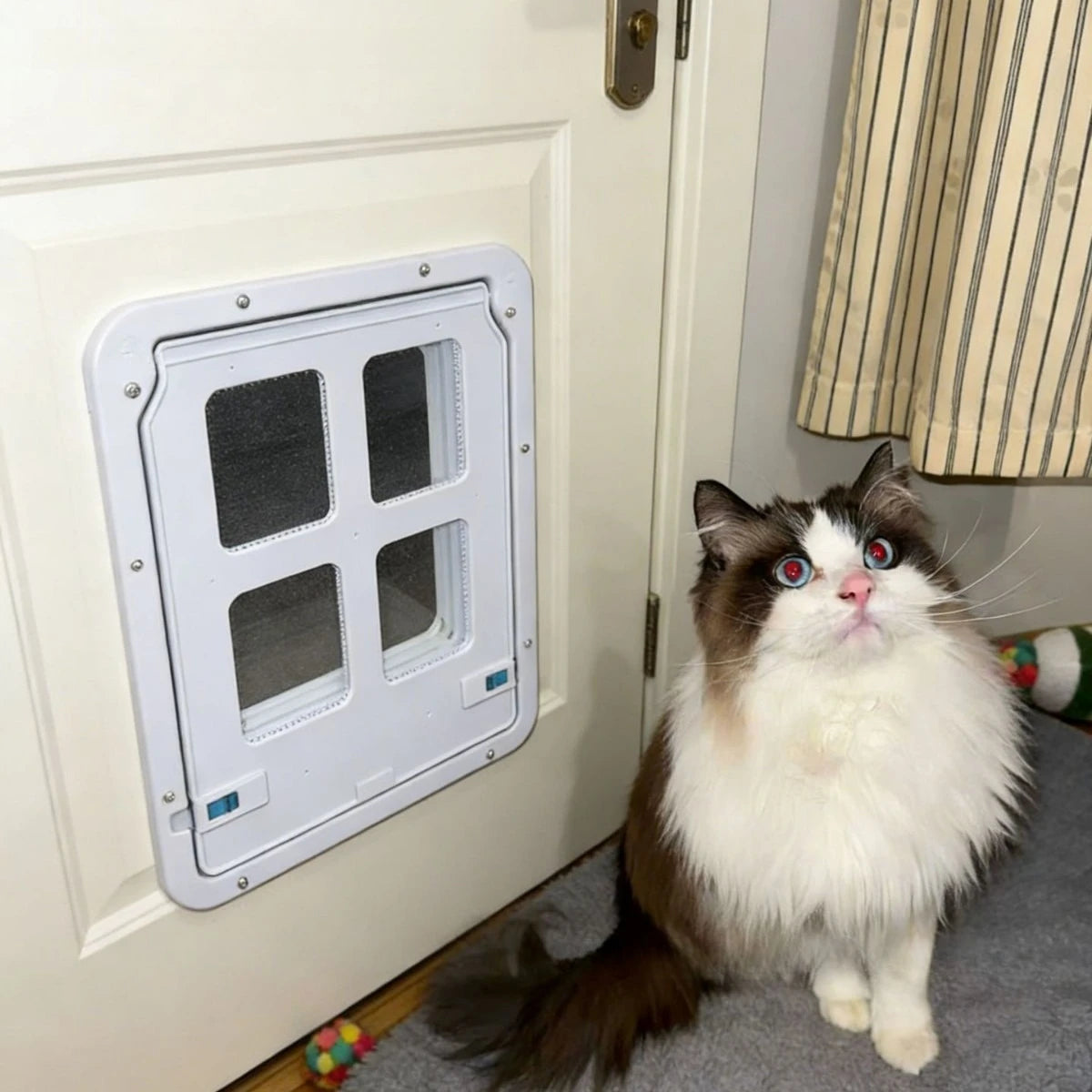 Hanging Mesh Pet Screen Door Small Dogs Cats Supplies Doors