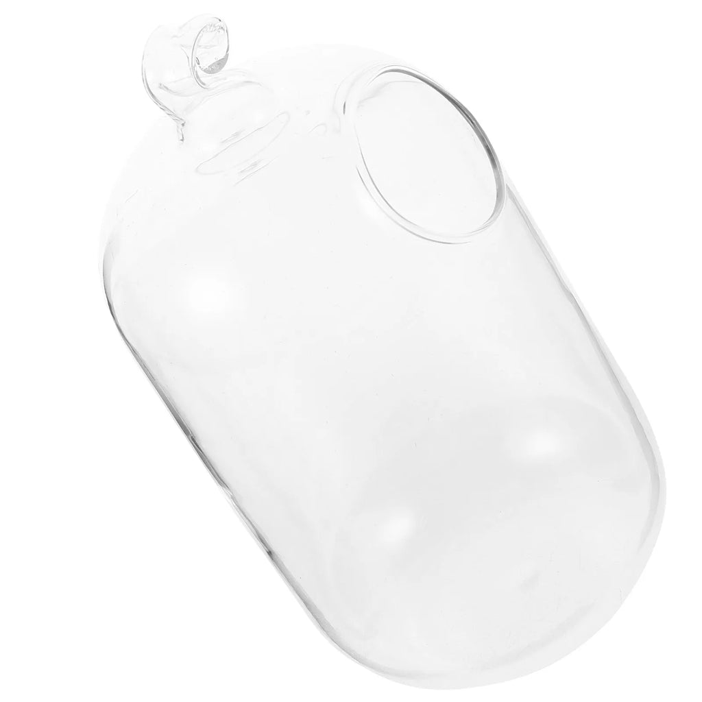 Transparent Hanging Glass Fish Tank Mini Aquarium Infusion Bottle