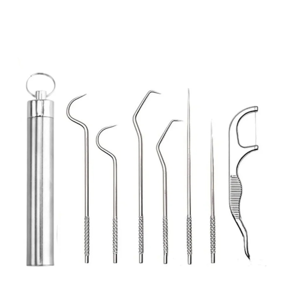 Reusable Stainless Steel Toothpick Set with Keychain Holder Dental Toothpick Set Zpaxo 7PCS