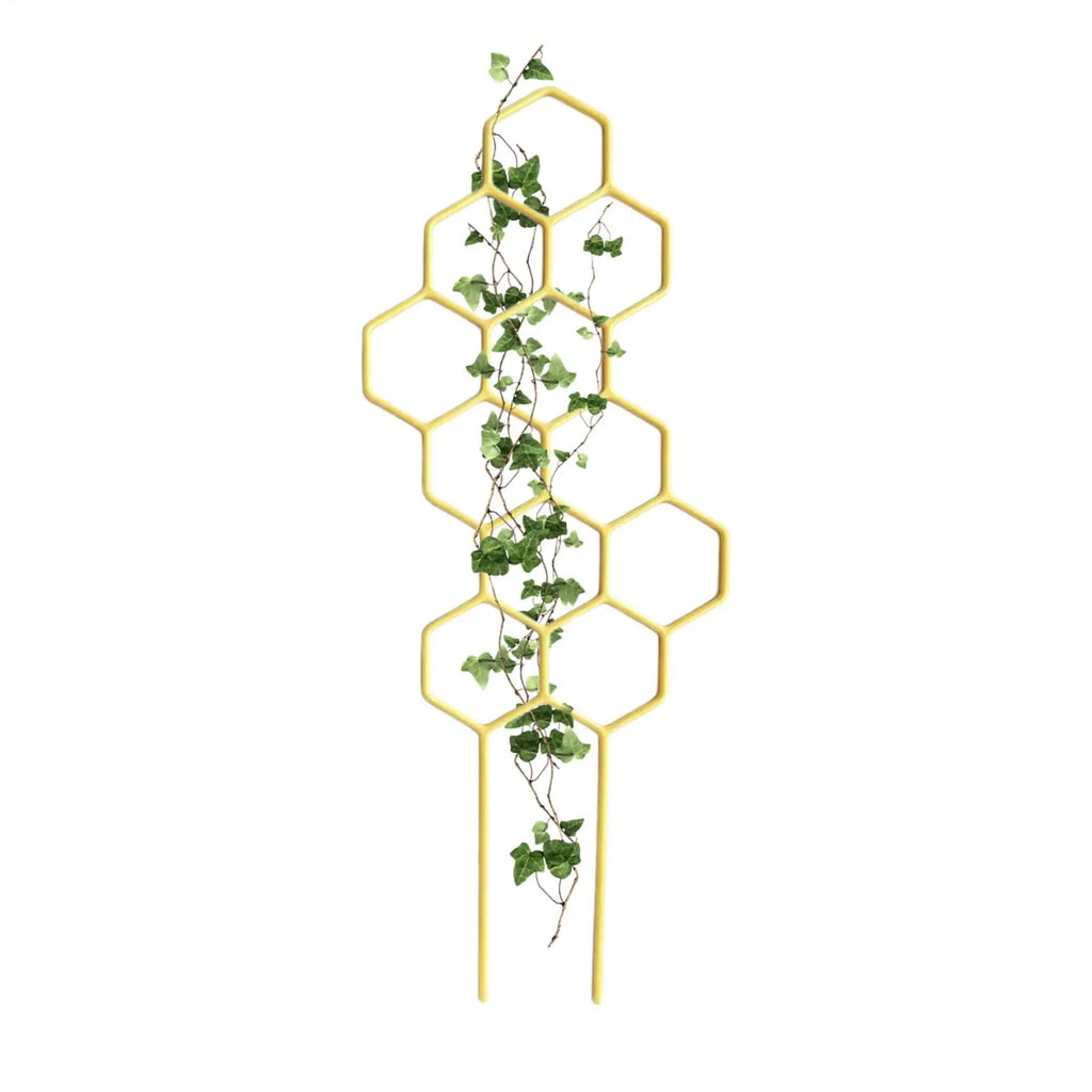 Rustproof Plastic Plant Trellis for Climbing Vines & Flowers Plant Climbing Trellis Zpaxo