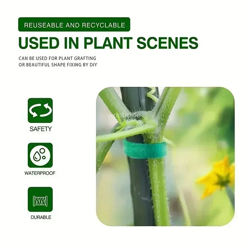 Self Adhesive Nylon Plant Ties Garden Twine Plant Bandage Hook Loop Vine Wrap Support Tape Garden Fastening Strips Cable Tie Zpaxo