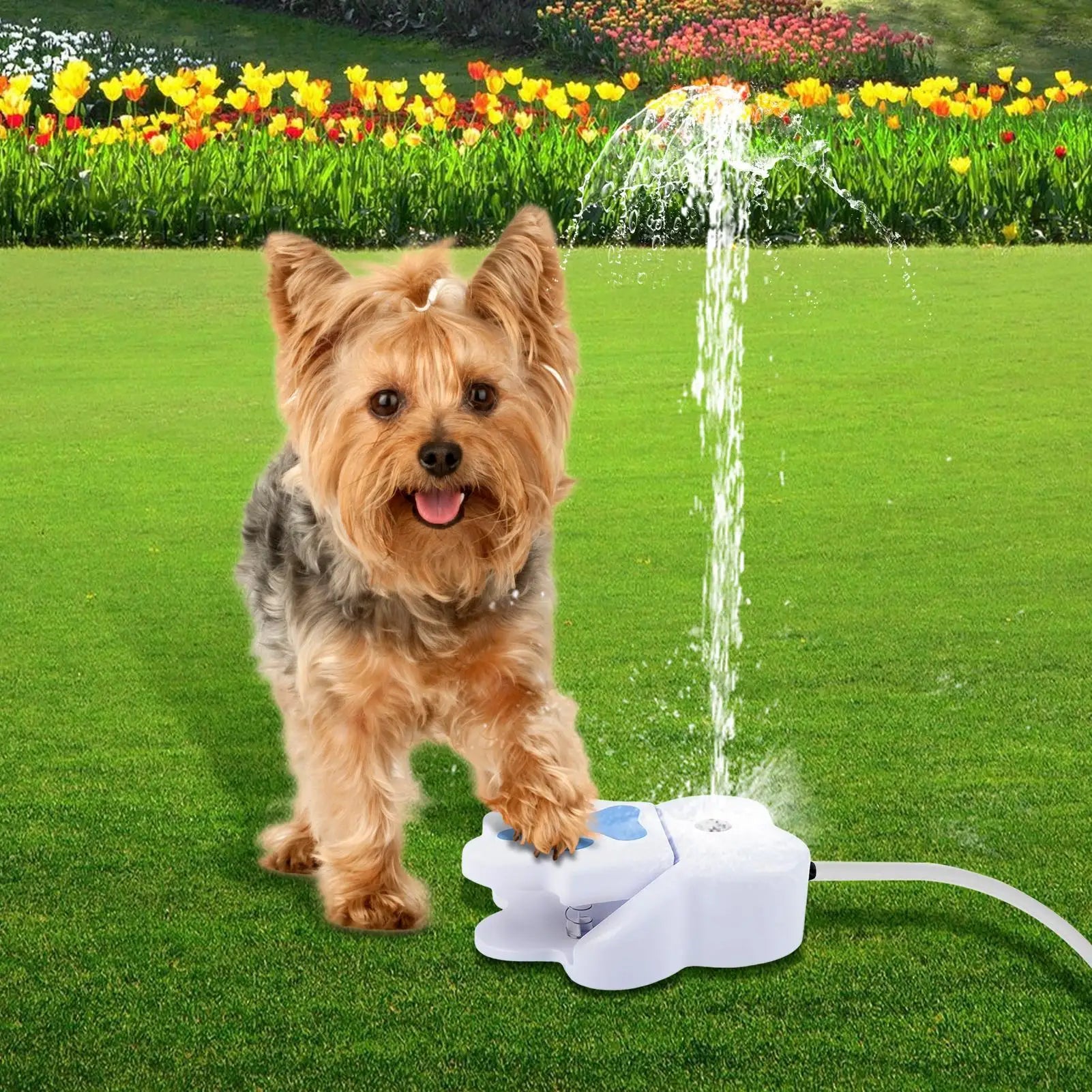 Paw Activated Dog Water Fountain Step Outdoor Pet Drinking Dispenser