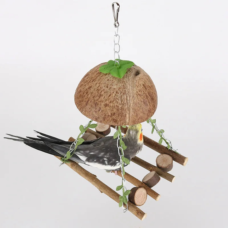 Parrot Hammock Swing Ladder Bird Toy – Wood Perch Stand Bird Swing Toy Zpaxo