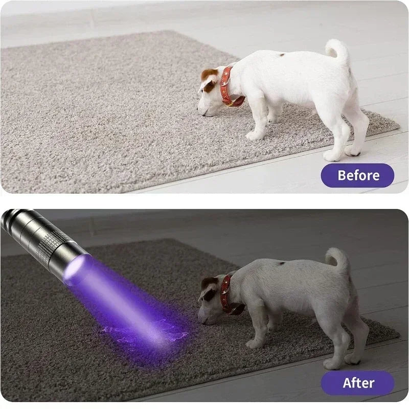 KDULIT 395nm UV Blacklight Flashlight – Pet Stain & Scorpion Detector