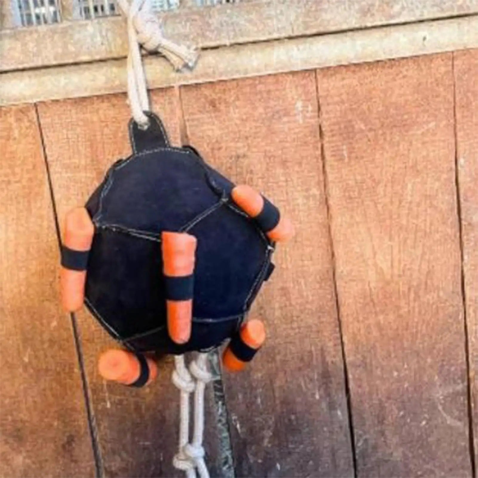 Horse Supports Ball Carrot Slow Feeder Toy Equine Enrichment Boredom