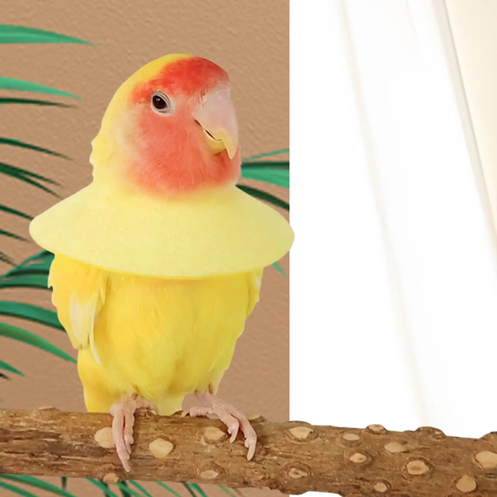 Bird Parrot Anti Bite Collar Breathable Comfortable Recovery Zpaxo
