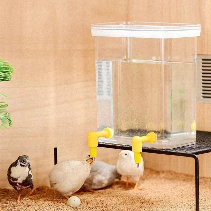 Fully Automatic Needle Water Dispenser Lubing Quail Chick Double