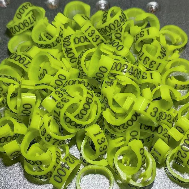 Personalized Inner Plastic Pigeon Dove Bands Rings Custom Laser