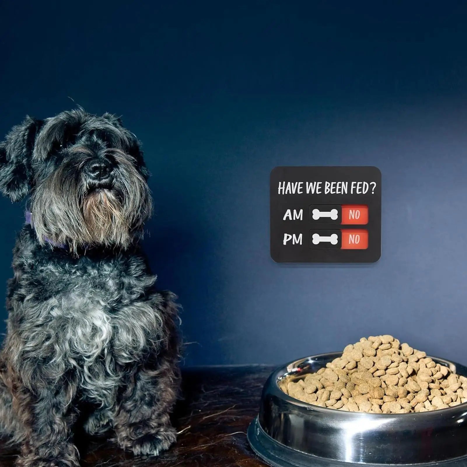 Pet Feeding Reminder AM PM Chart Yes No Slider Magnets Dog Sign Food