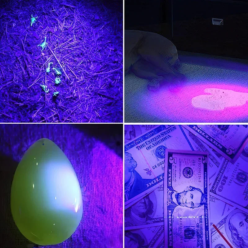 UV LED Blacklight Flashlight 395nm – Pet Stain & Scorpion Detector UV Blacklight Flashlight Zpaxo