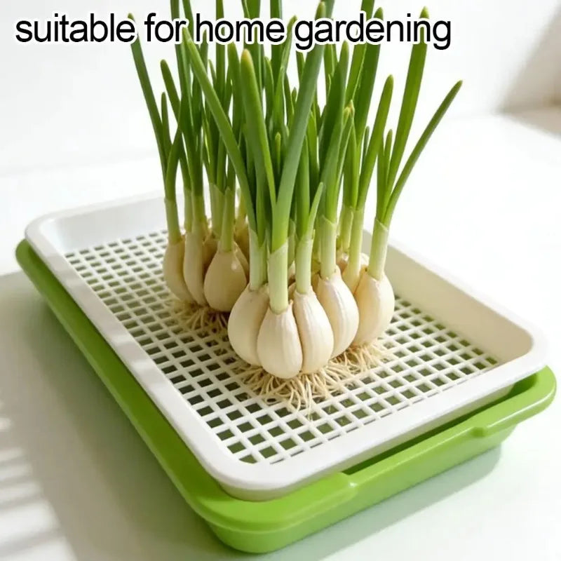 Soilless Planting Seedling Tray,Seed Sprouter Germination Tray for Growing, Bean Sprouts, Cat Grass, Wheat Grass, Mung Beans Zpaxo