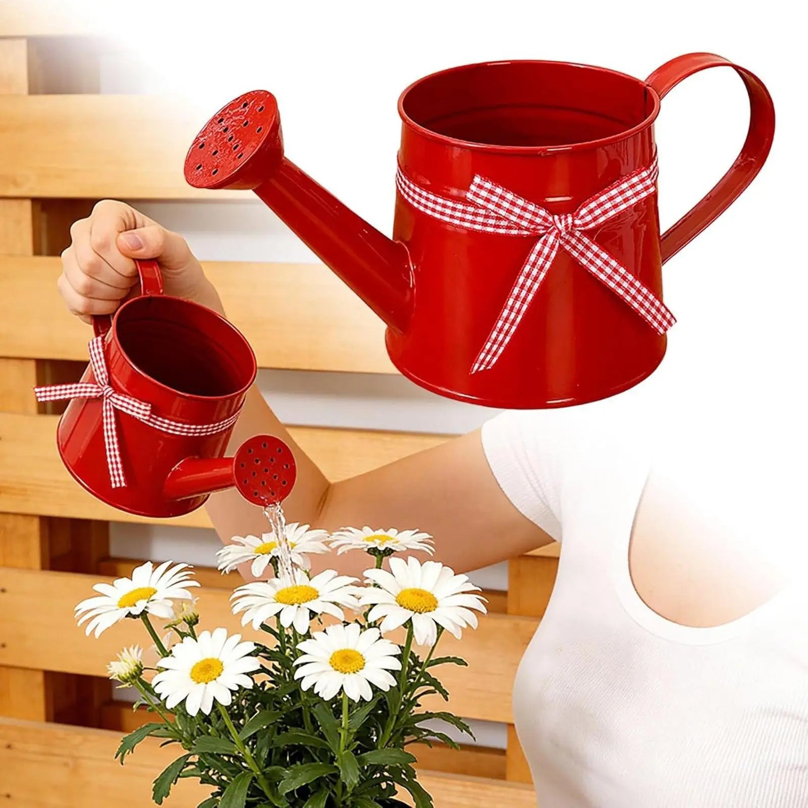 Mini Metal Watering Can – Decorative Indoor Plant Sprinkler Decorative Watering Can Zpaxo