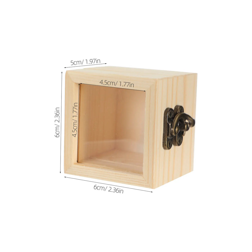 Insect Display Box Natural Wood Clear Lid Specimen Storage Square