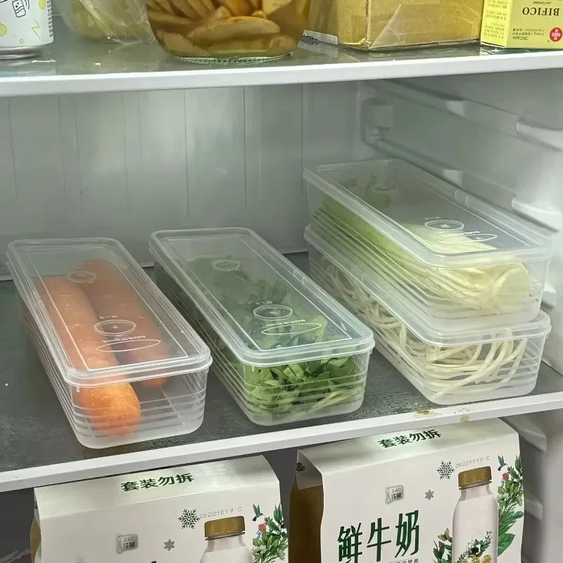Fresh Box Fridge Herb & Scallion Storage Container with Lid