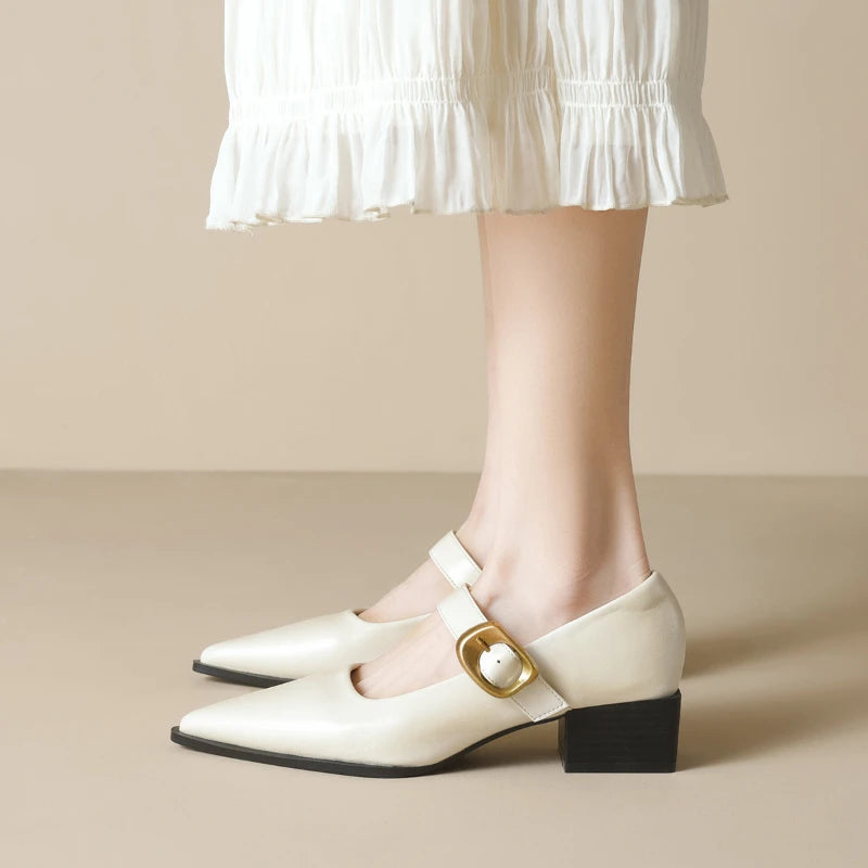 Women French Pointed Toe Mary Jane Shoes Block Heel 2025 Single Strap Zpaxo
