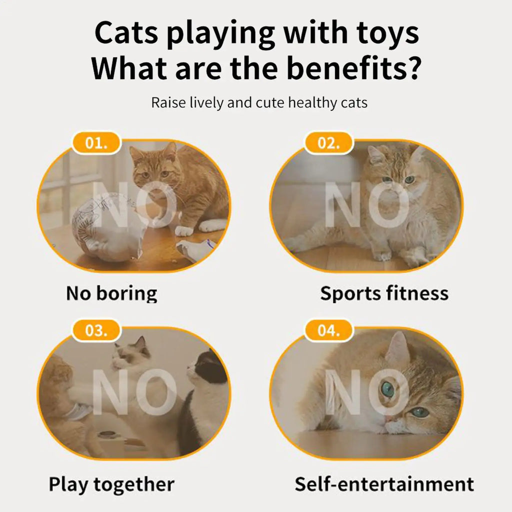 Interactive Cat Toys Star-Shaped Interactive Hunting Cat Toy Chew-Proof Enrichment Training Teething Relief Games for Hunting Zpaxo